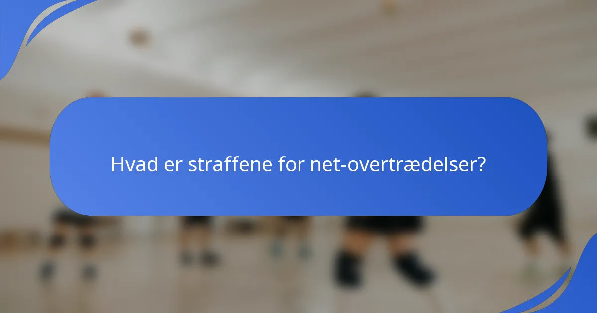Hvad er straffene for net-overtrædelser?